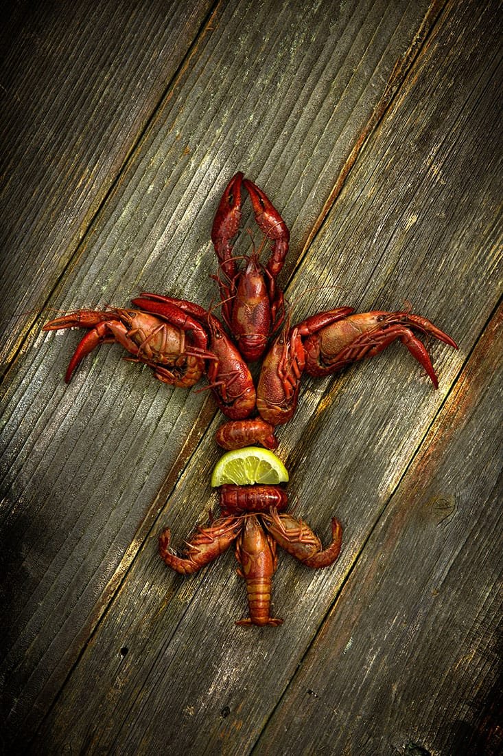 Louisiana Crawfish Art Fleur-de-lis